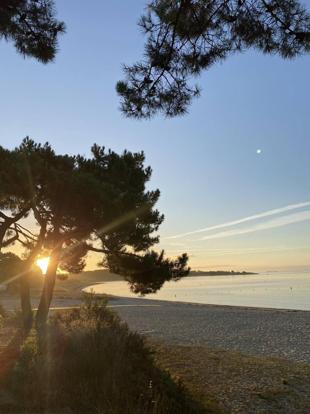 Confortable Studio, Wifi, Parking, Proche Plage Carnac Εξωτερικό φωτογραφία