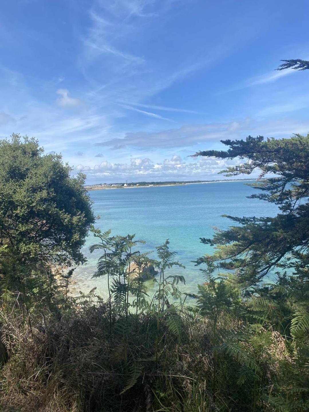 Confortable Studio, Wifi, Parking, Proche Plage Carnac Εξωτερικό φωτογραφία